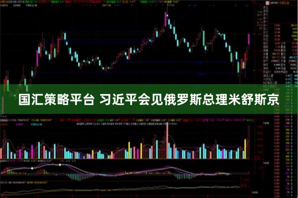 国汇策略平台 习近平会见俄罗斯总理米舒斯京